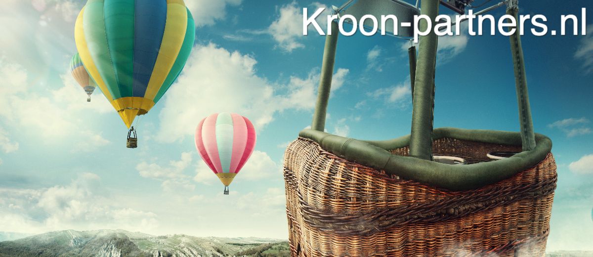 kroon-partners.nl